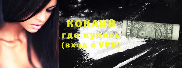 сатива Карпинск