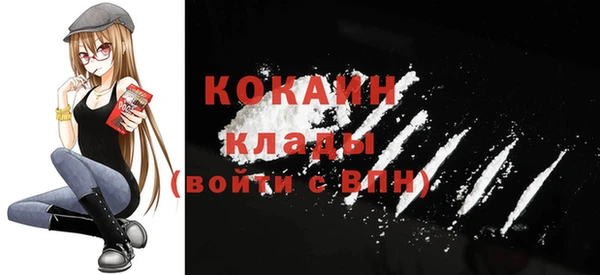 сатива Карпинск