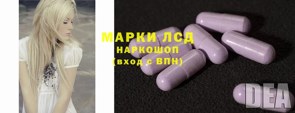 сатива Карпинск