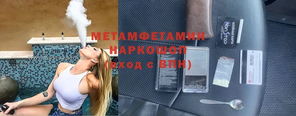 сатива Карпинск