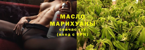 сатива Карпинск