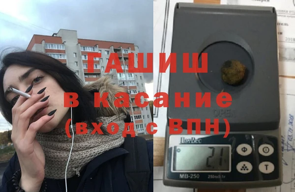 сатива Карпинск