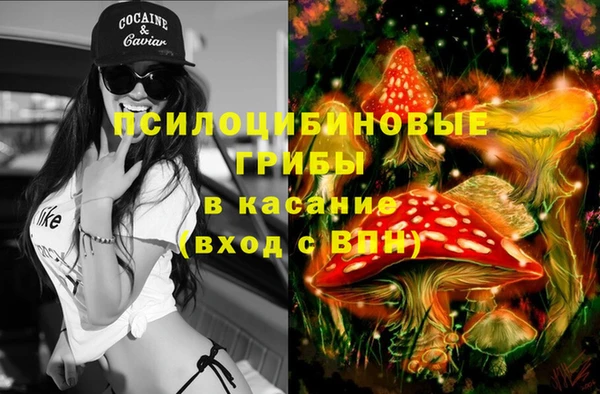 ALPHA PVP Карталы
