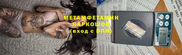 сатива Карпинск