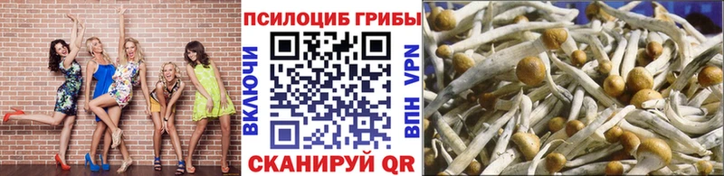 Галлюциногенные грибы мухоморы  Купить где  Кубинка 